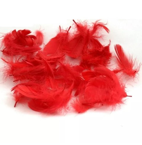 POS PIÓRKA OBSESSIVE CZERWONE